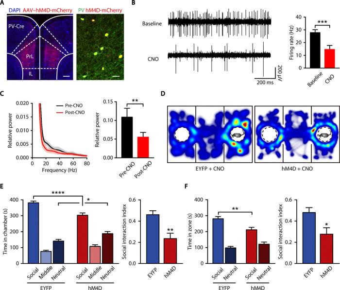 https://cdn.ncbi.nlm.nih.gov/pmc/blobs/ec87/7439507/191af671f1bb/aay4073-F4.jpg