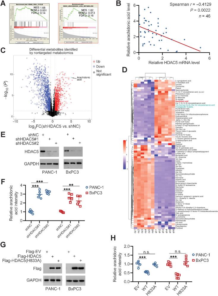 https://cdn.ncbi.nlm.nih.gov/pmc/blobs/ec87/9755957/30ce9e003364/4542fig1.jpg