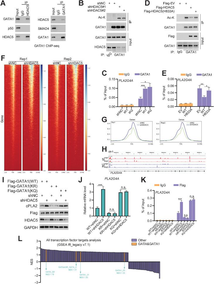 https://cdn.ncbi.nlm.nih.gov/pmc/blobs/ec87/9755957/eb72ac81d0ee/4542fig4.jpg