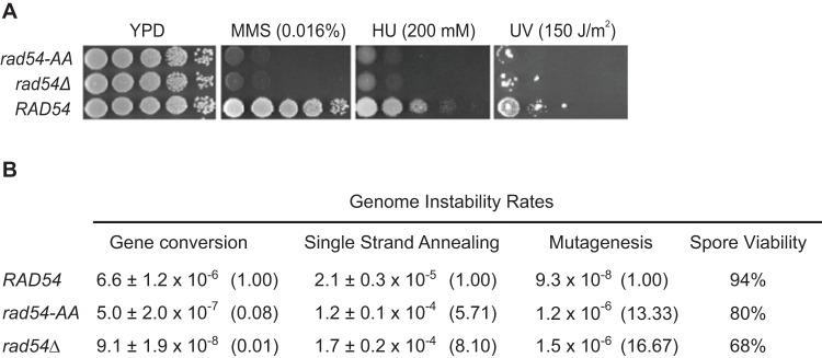 https://cdn.ncbi.nlm.nih.gov/pmc/blobs/ec88/3869717/0a35468b8810/pone.0082630.g002.jpg
