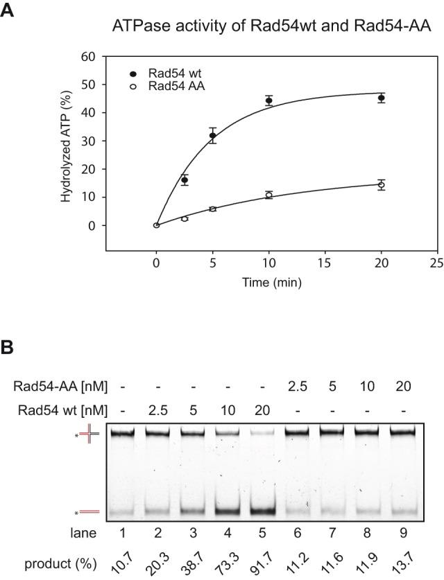 https://cdn.ncbi.nlm.nih.gov/pmc/blobs/ec88/3869717/3b732f4c15a6/pone.0082630.g004.jpg