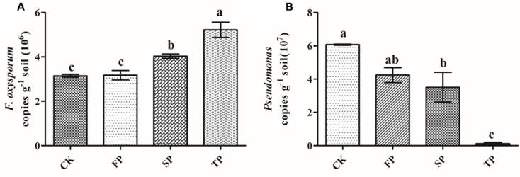 https://cdn.ncbi.nlm.nih.gov/pmc/blobs/ec89/5605650/f15d6bbfc59f/fmicb-08-01748-g005.jpg