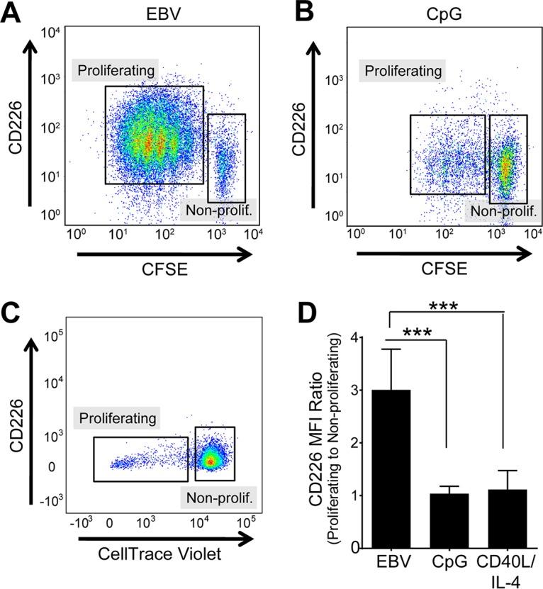 https://cdn.ncbi.nlm.nih.gov/pmc/blobs/ec8a/5705804/5b10b335c81f/sph0061724150002.jpg