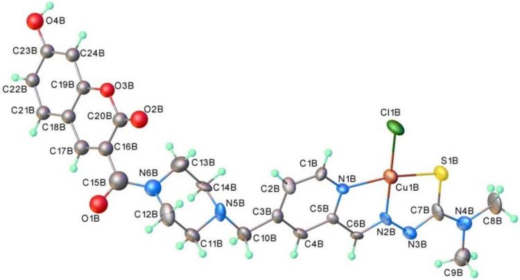 https://cdn.ncbi.nlm.nih.gov/pmc/blobs/ec8c/8230303/0c91c6cd9e8c/biomolecules-11-00862-g001.jpg