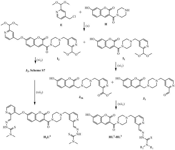 https://cdn.ncbi.nlm.nih.gov/pmc/blobs/ec8c/8230303/8057a89f8c5c/biomolecules-11-00862-sch001.jpg