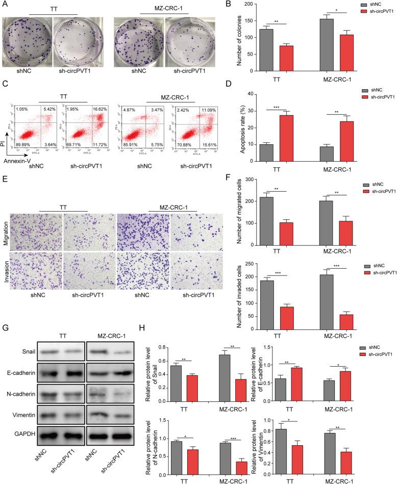 https://cdn.ncbi.nlm.nih.gov/pmc/blobs/ec8d/8106141/aab8f1e1522f/13046_2021_1964_Fig5_HTML.jpg