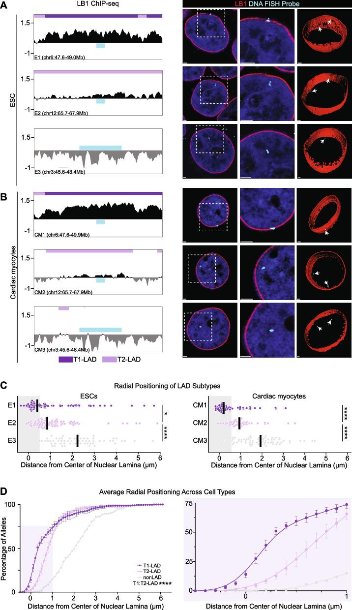 https://cdn.ncbi.nlm.nih.gov/pmc/blobs/ec8d/9869549/00775158d75e/13059_2023_2849_Fig4_HTML.jpg