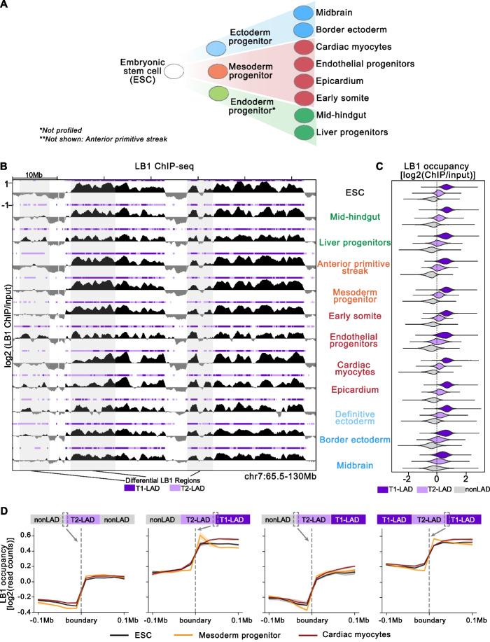 https://cdn.ncbi.nlm.nih.gov/pmc/blobs/ec8d/9869549/3088a9d3500b/13059_2023_2849_Fig1_HTML.jpg
