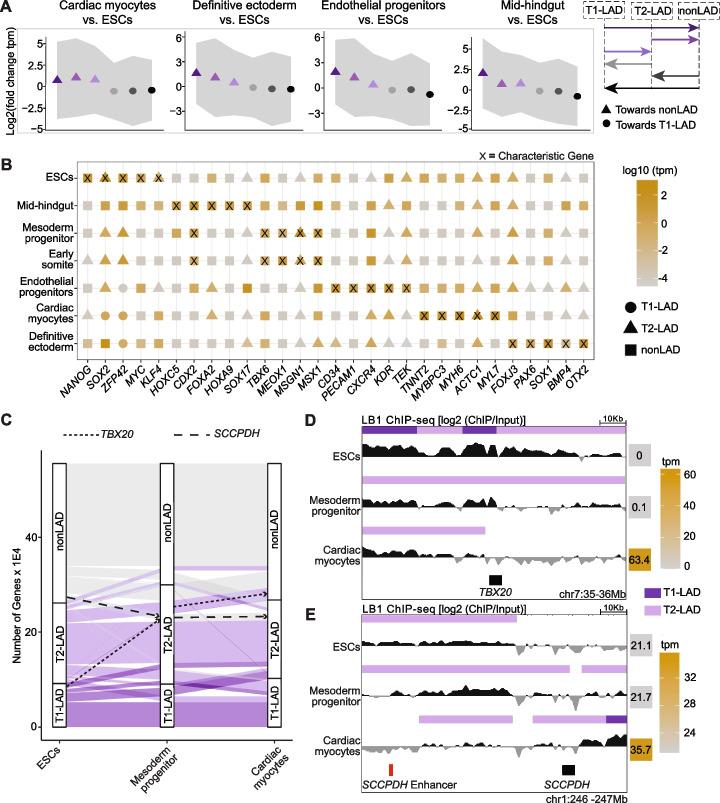 https://cdn.ncbi.nlm.nih.gov/pmc/blobs/ec8d/9869549/943082e2b16e/13059_2023_2849_Fig6_HTML.jpg