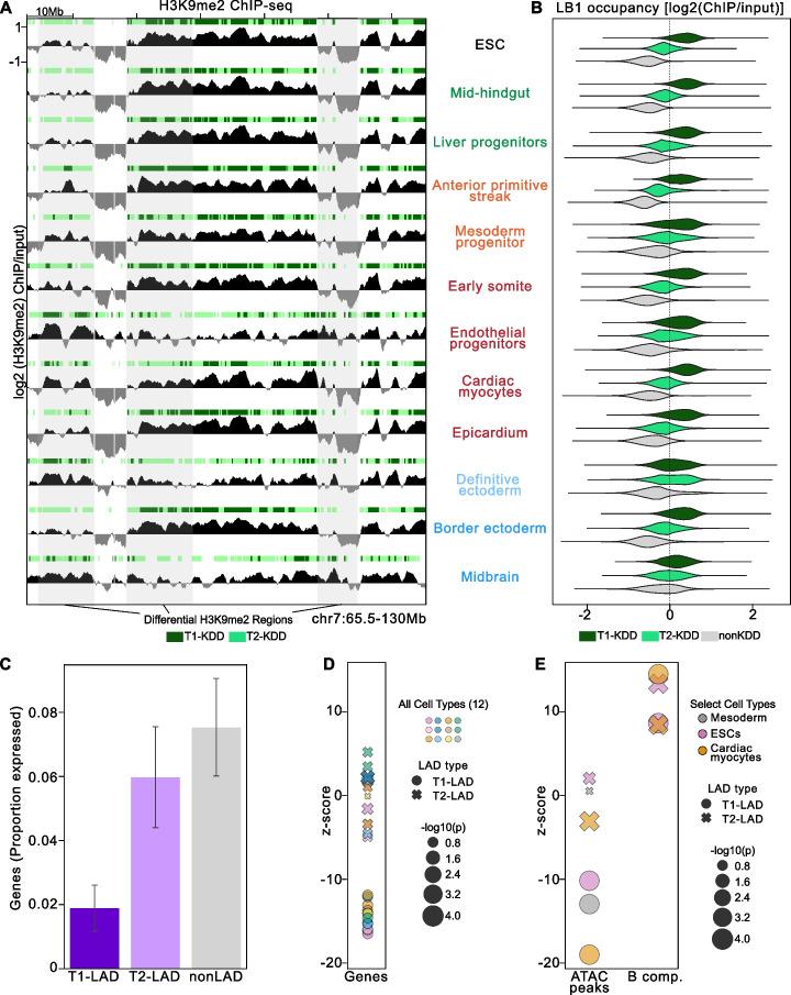 https://cdn.ncbi.nlm.nih.gov/pmc/blobs/ec8d/9869549/eb90b88a80aa/13059_2023_2849_Fig2_HTML.jpg