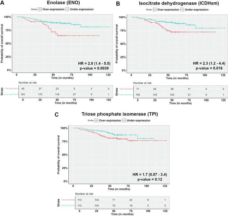 https://cdn.ncbi.nlm.nih.gov/pmc/blobs/ec8f/11681178/1c6c7caf68e6/42003_2024_7408_Fig7_HTML.jpg