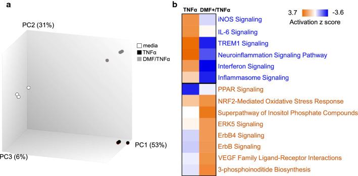https://cdn.ncbi.nlm.nih.gov/pmc/blobs/ec8f/7579885/4a66db2acb56/12936_2020_3447_Fig1_HTML.jpg