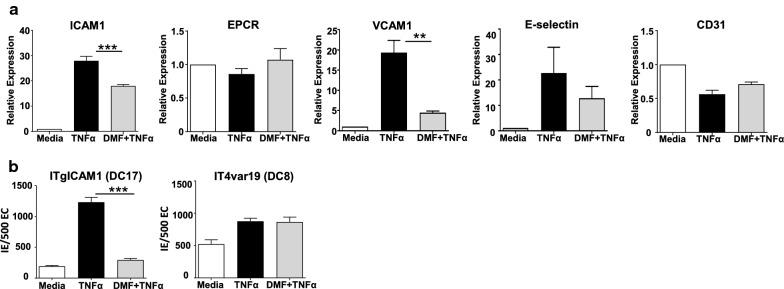 https://cdn.ncbi.nlm.nih.gov/pmc/blobs/ec8f/7579885/887f745a74fe/12936_2020_3447_Fig3_HTML.jpg