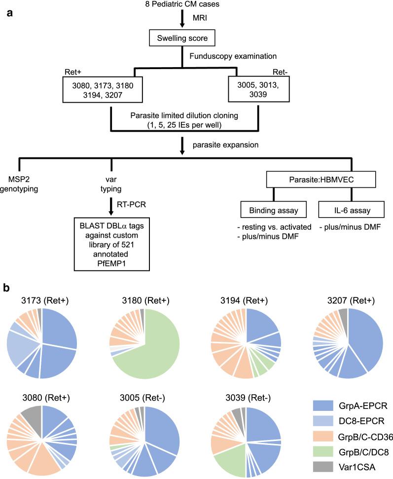 https://cdn.ncbi.nlm.nih.gov/pmc/blobs/ec8f/7579885/d36ea2c27787/12936_2020_3447_Fig4_HTML.jpg