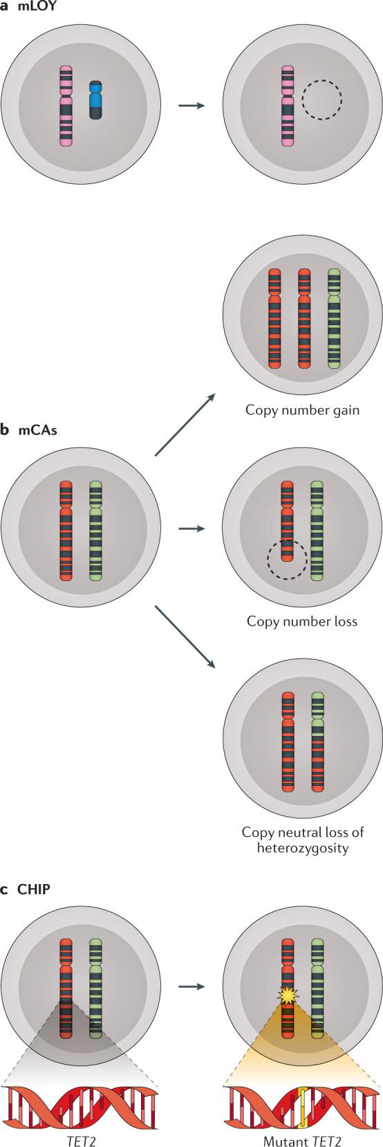 https://cdn.ncbi.nlm.nih.gov/pmc/blobs/ec90/8117131/ade94925c27a/41576_2021_356_Fig1_HTML.jpg