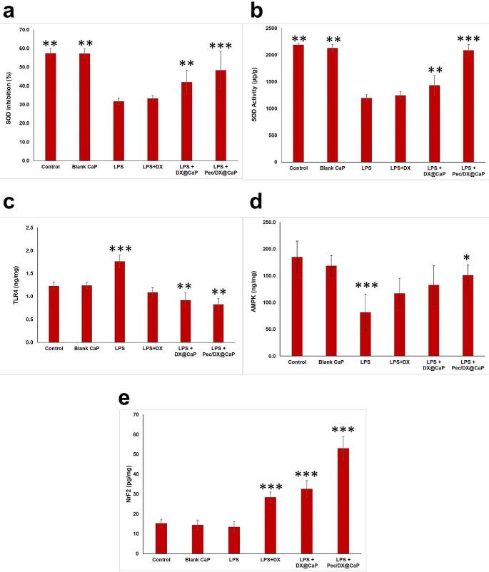 https://cdn.ncbi.nlm.nih.gov/pmc/blobs/ec91/10796490/826c9f37f4b3/11481_2024_10099_Fig6_HTML.jpg
