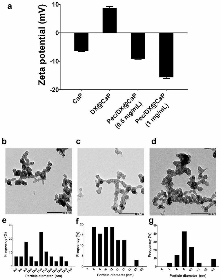 https://cdn.ncbi.nlm.nih.gov/pmc/blobs/ec91/10796490/efba85643d3d/11481_2024_10099_Fig1_HTML.jpg