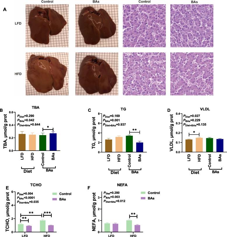 https://cdn.ncbi.nlm.nih.gov/pmc/blobs/ec91/11320850/6ff3362b57c7/40104_2024_1071_Fig3_HTML.jpg