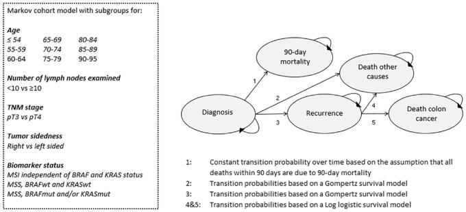 https://cdn.ncbi.nlm.nih.gov/pmc/blobs/ec91/7958170/a4046d6d5c0c/10.1177_1756284821995715-fig1.jpg