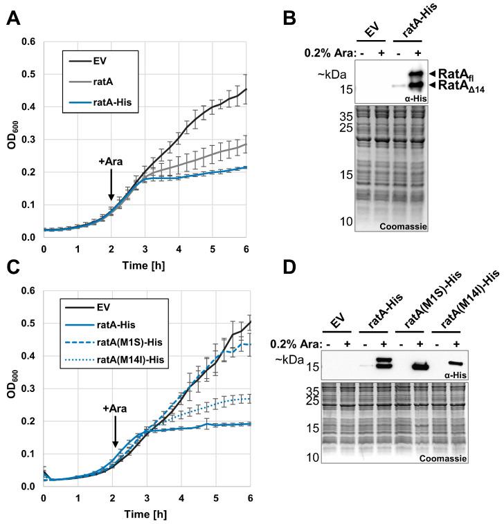 https://cdn.ncbi.nlm.nih.gov/pmc/blobs/ec92/11988751/139a80ae9566/ijms-26-03100-g001.jpg