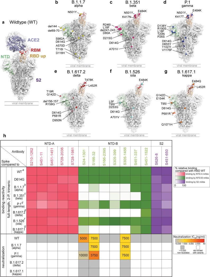 https://cdn.ncbi.nlm.nih.gov/pmc/blobs/ec92/8593667/5506662124fb/mbio.02975-21-f003.jpg