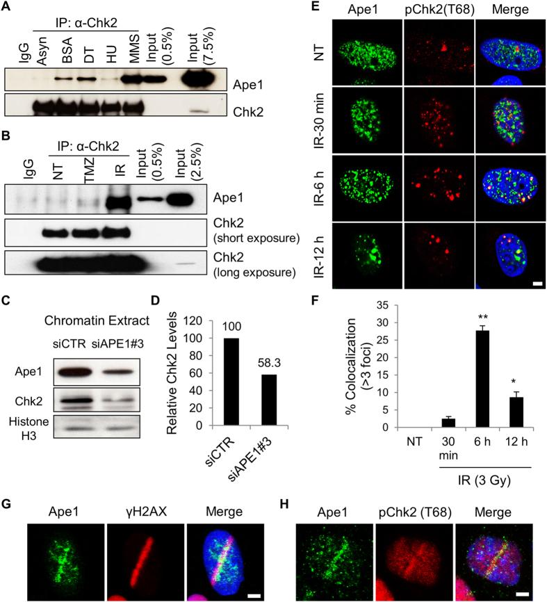https://cdn.ncbi.nlm.nih.gov/pmc/blobs/ec98/5574897/70d529625798/41598_2017_10013_Fig1_HTML.jpg