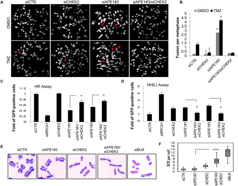 https://cdn.ncbi.nlm.nih.gov/pmc/blobs/ec98/5574897/b37f57cf152d/41598_2017_10013_Fig3_HTML.jpg