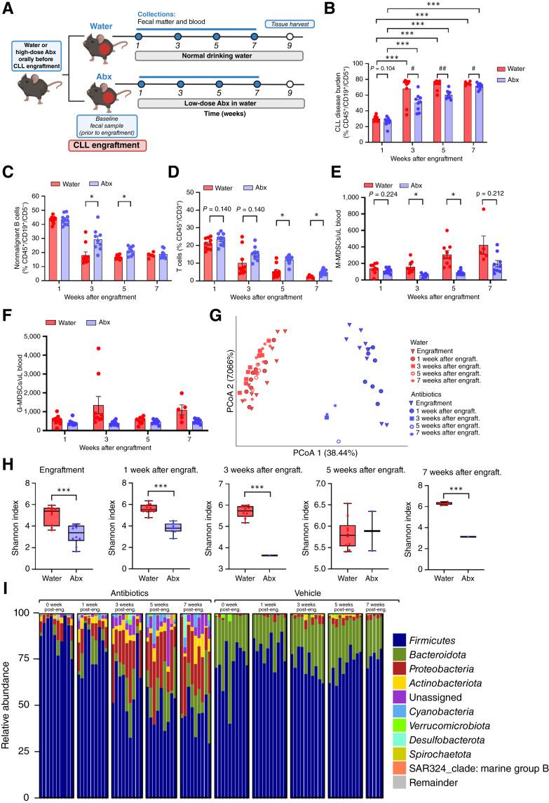 https://cdn.ncbi.nlm.nih.gov/pmc/blobs/ec99/12354945/844741d7e839/crc-25-0022_f6.jpg