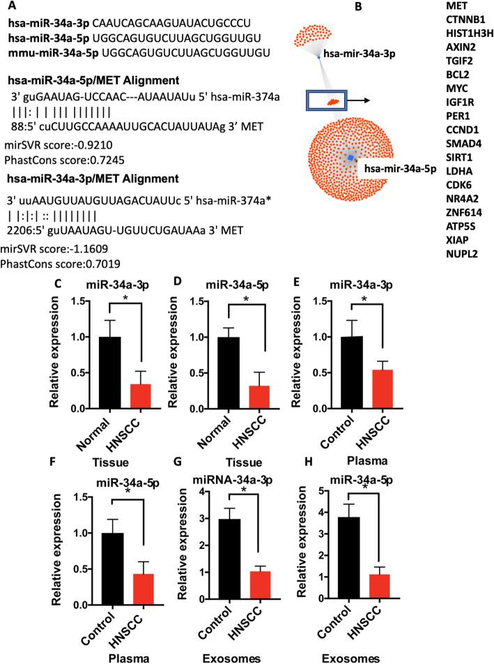 https://cdn.ncbi.nlm.nih.gov/pmc/blobs/ec9a/7890893/6cc774005ee3/13046_2021_1865_Fig2_HTML.jpg
