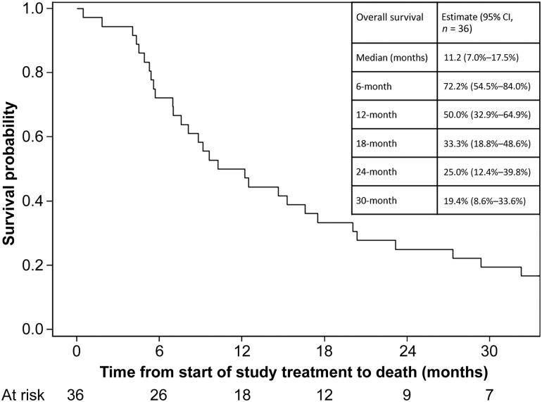 https://cdn.ncbi.nlm.nih.gov/pmc/blobs/ec9c/6156179/2f8e321d12b4/onco12441-fig-0001.jpg