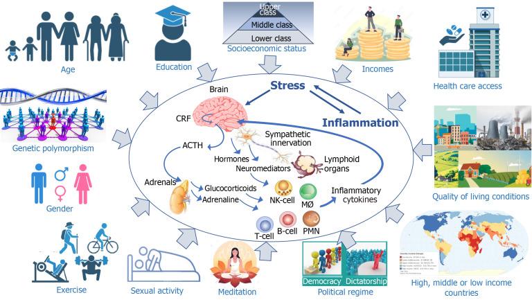 https://cdn.ncbi.nlm.nih.gov/pmc/blobs/ec9d/11551703/3c52970f45e4/96422-g003.jpg