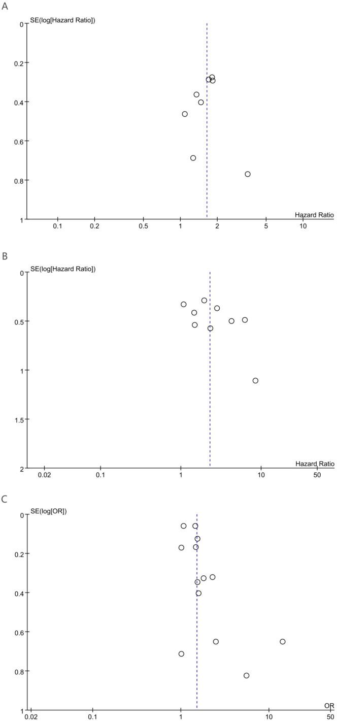 https://cdn.ncbi.nlm.nih.gov/pmc/blobs/ec9d/12405421/c40edc99a7af/fimmu-16-1658571-g004.jpg