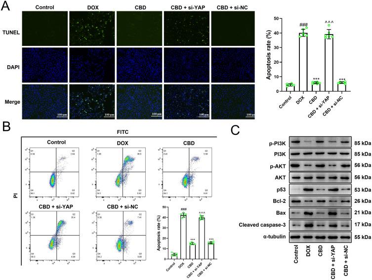 https://cdn.ncbi.nlm.nih.gov/pmc/blobs/ec9e/11774276/36070f6b863d/DDDT-19-569-g0005.jpg