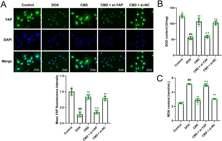 https://cdn.ncbi.nlm.nih.gov/pmc/blobs/ec9e/11774276/e73146a3c168/DDDT-19-569-g0004.jpg
