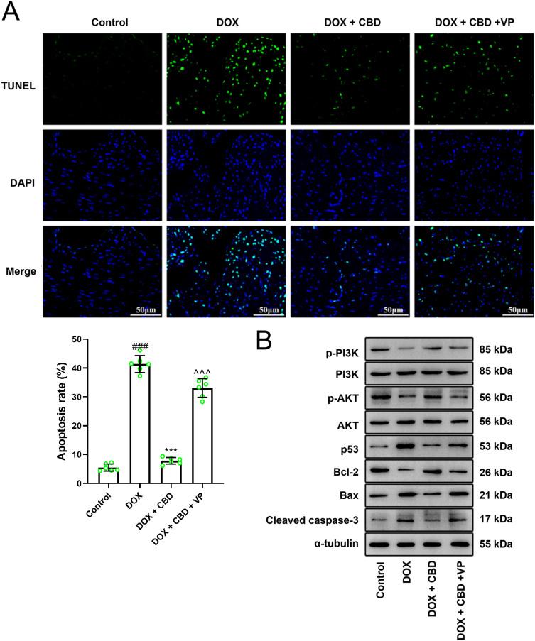 https://cdn.ncbi.nlm.nih.gov/pmc/blobs/ec9e/11774276/f9caf39563d1/DDDT-19-569-g0007.jpg