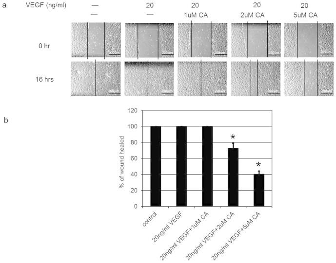 https://cdn.ncbi.nlm.nih.gov/pmc/blobs/eca0/4819393/5639b7e3f36f/srep09642-f4.jpg