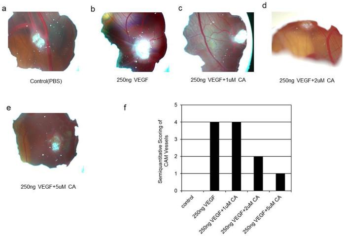 https://cdn.ncbi.nlm.nih.gov/pmc/blobs/eca0/4819393/b358872e6235/srep09642-f8.jpg