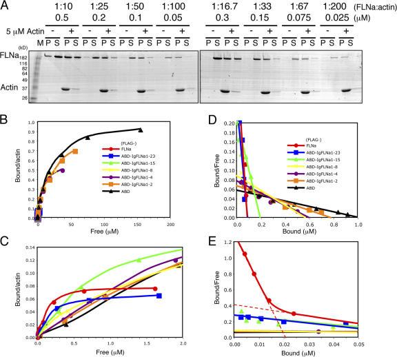 https://cdn.ncbi.nlm.nih.gov/pmc/blobs/eca1/2099194/9bd89cc36bcb/jcb1791011f04.jpg