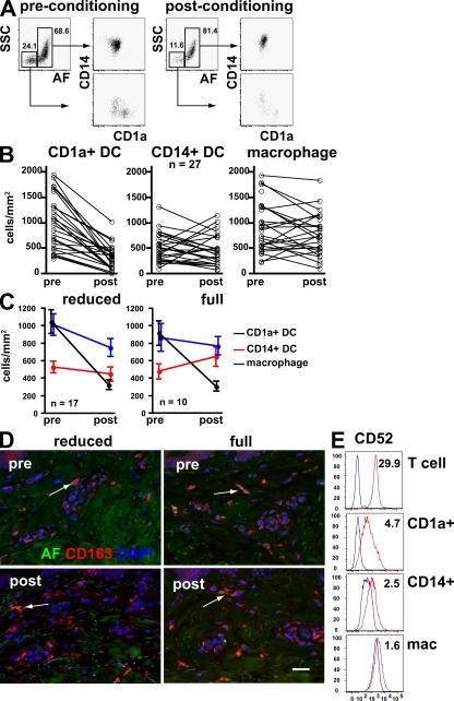 https://cdn.ncbi.nlm.nih.gov/pmc/blobs/eca1/2646566/137d71f98d45/JEM_20081633_RGB_Fig3.jpg