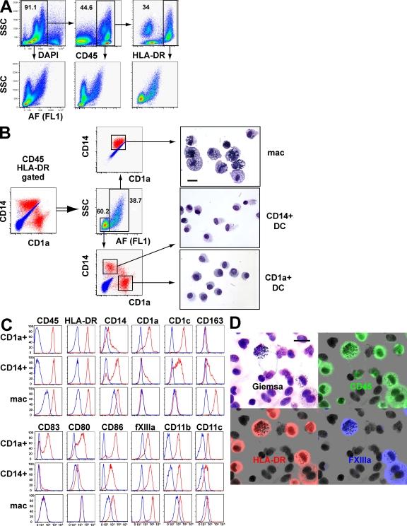 https://cdn.ncbi.nlm.nih.gov/pmc/blobs/eca1/2646566/2d76122848b5/JEM_20081633_RGB_Fig1.jpg