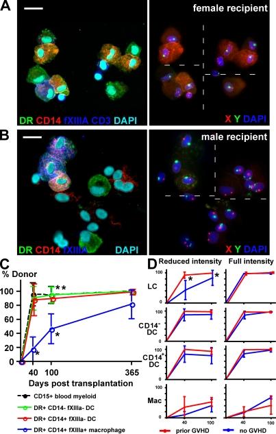 https://cdn.ncbi.nlm.nih.gov/pmc/blobs/eca1/2646566/de3a08fc9b34/JEM_20081633R_RGB_Fig4.jpg