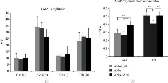 https://cdn.ncbi.nlm.nih.gov/pmc/blobs/eca2/9359847/6903571e83b5/SCI2022-5240204.004.jpg