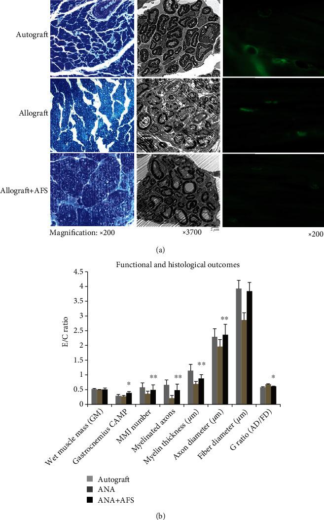 https://cdn.ncbi.nlm.nih.gov/pmc/blobs/eca2/9359847/bf4eeb3303a0/SCI2022-5240204.005.jpg