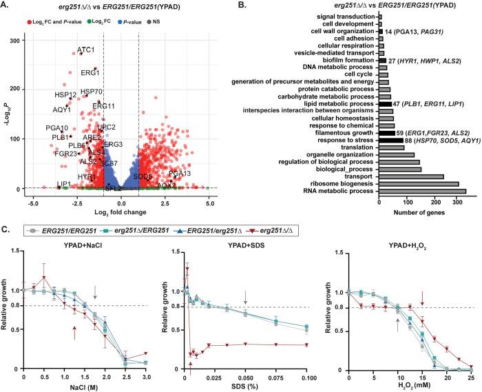https://cdn.ncbi.nlm.nih.gov/pmc/blobs/eca3/11315318/20bd0b744622/ppat.1012389.g004.jpg