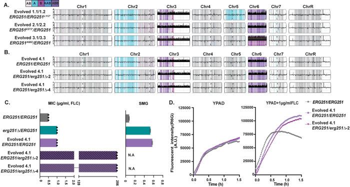 https://cdn.ncbi.nlm.nih.gov/pmc/blobs/eca3/11315318/9009c1e00d52/ppat.1012389.g002.jpg