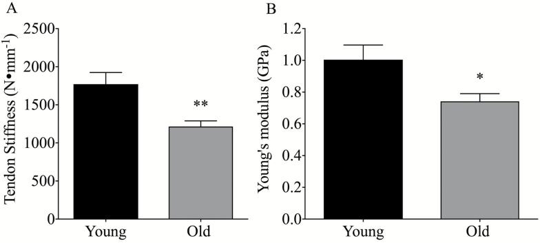 https://cdn.ncbi.nlm.nih.gov/pmc/blobs/eca5/5861887/5cc750bbe175/glx14903.jpg
