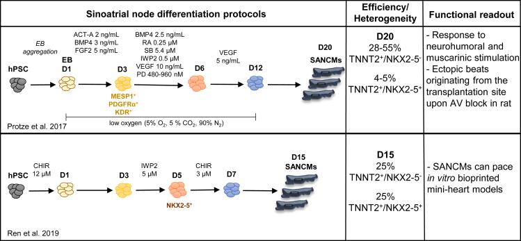 https://cdn.ncbi.nlm.nih.gov/pmc/blobs/eca5/8581056/9c2d8486ddd8/gr4.jpg