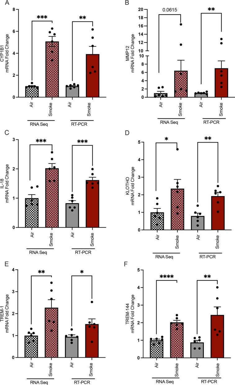 https://cdn.ncbi.nlm.nih.gov/pmc/blobs/eca6/9552453/48b6239237f6/12931_2022_2198_Fig5a_HTML.jpg