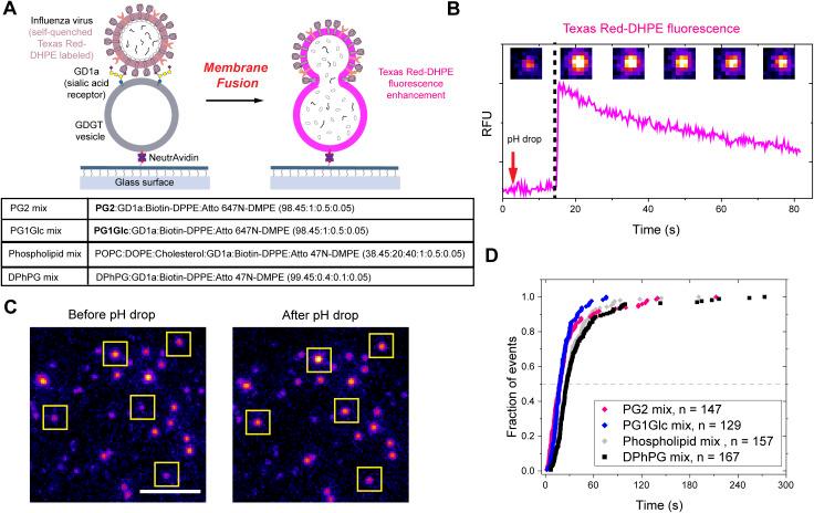 https://cdn.ncbi.nlm.nih.gov/pmc/blobs/eca8/11389474/585c28b46b79/d4sc03788j-f7.jpg