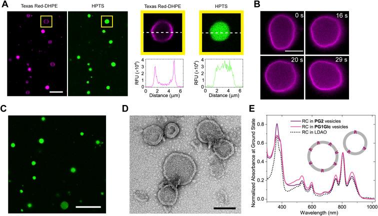 https://cdn.ncbi.nlm.nih.gov/pmc/blobs/eca8/11389474/a221fbb231e1/d4sc03788j-f3.jpg